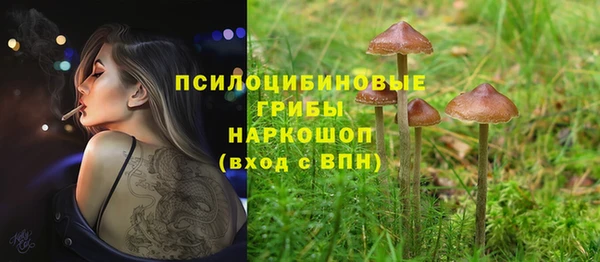 гашик Алзамай