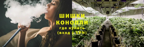 гашик Алзамай